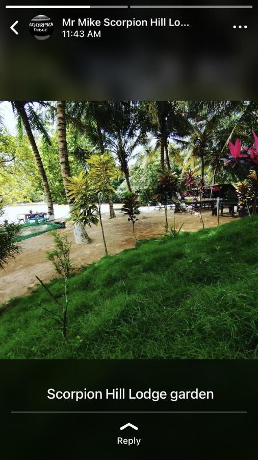 Scorpion Hill Lodge Busua Dış mekan fotoğraf
