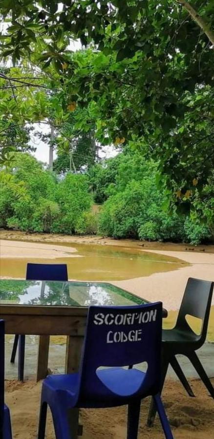 Scorpion Hill Lodge Busua Dış mekan fotoğraf